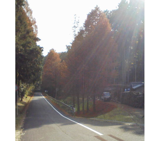 c0087392_111364.jpg