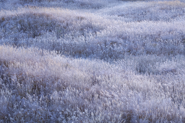 c0134295_23532346.jpg
