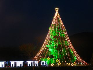 d0010496_225820100.jpg