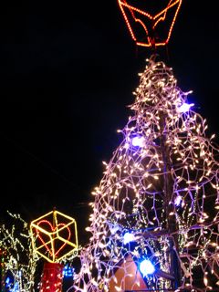 d0010496_2321952.jpg