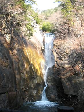 c0119197_20215117.jpg