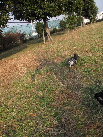 a0079803_0165977.jpg