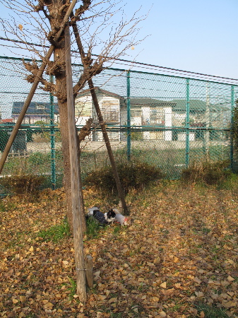 a0079803_022490.jpg