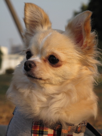 a0079803_0231710.jpg