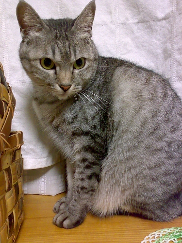 f0195204_16465053.jpg