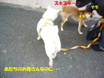 e0131506_21573657.jpg
