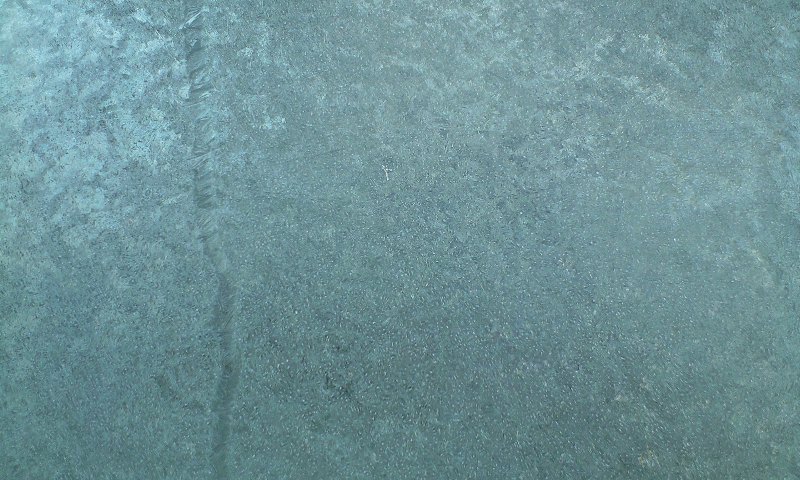 d0000607_12274520.jpg