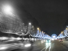 d0126508_1504747.jpg