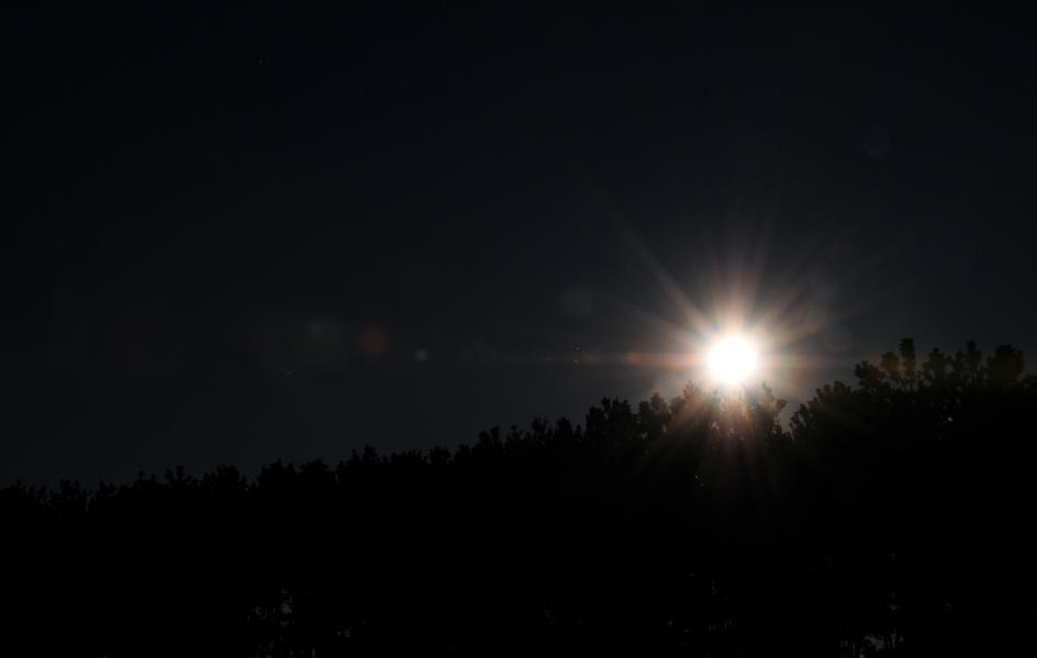 d0153408_15231431.jpg