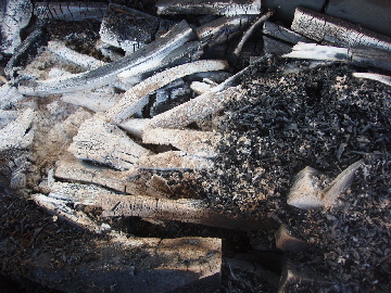 e0071811_901810.jpg
