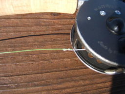 f0079411_20355747.jpg