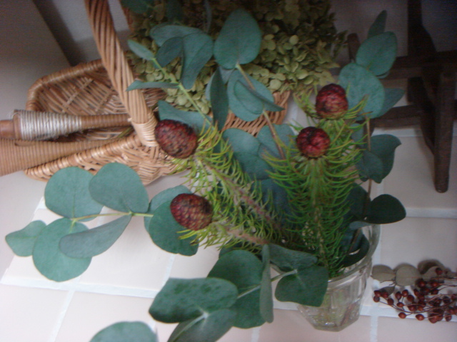 c0100534_938979.jpg