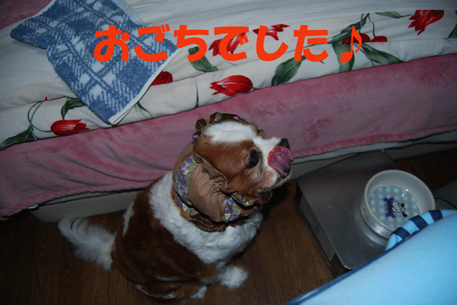 c0136838_1723898.gif