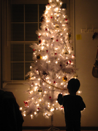 f0190638_1737295.jpg