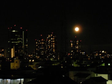 e0149340_6502219.jpg
