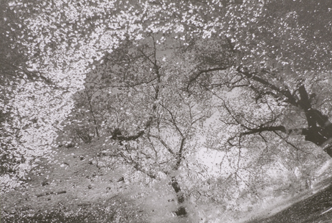 f0193643_17275684.jpg