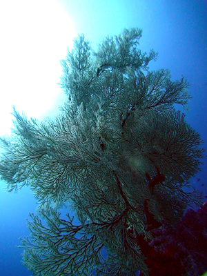 e0027447_12204234.jpg