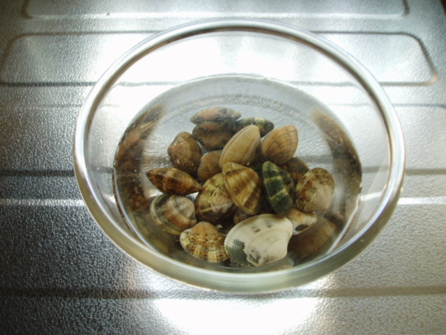 e0038047_2256044.jpg