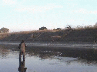 f0084561_14275439.gif