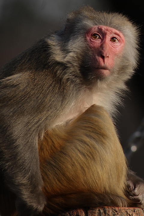 b0027267_23103549.jpg