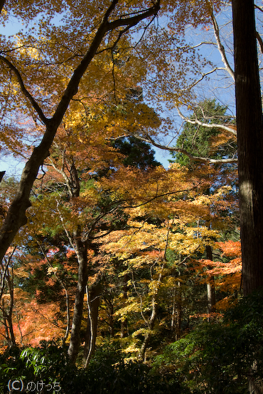 b0136768_2354889.jpg