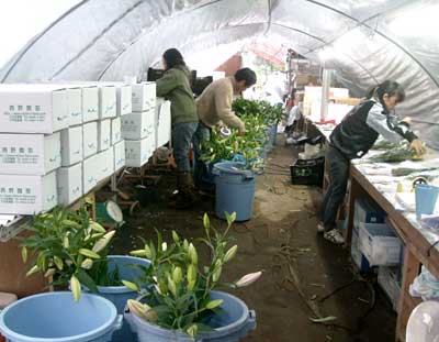 e0097770_020092.jpg