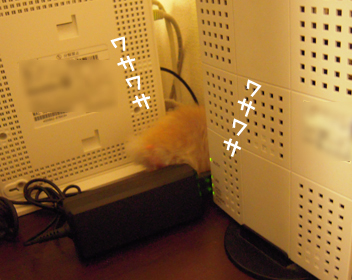 c0160473_1223861.jpg