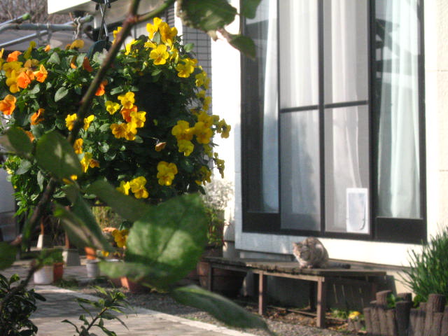 d0070473_15555713.jpg
