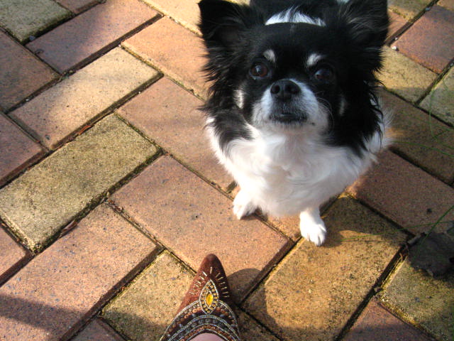 d0070473_1655424.jpg