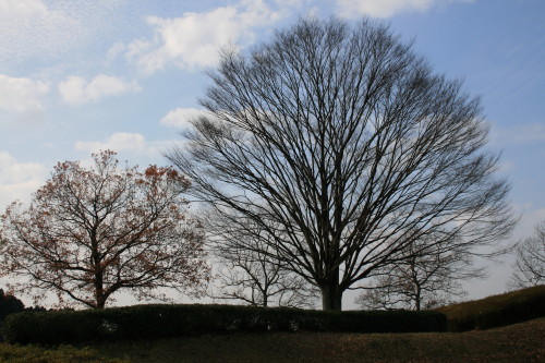 e0114977_17561473.jpg