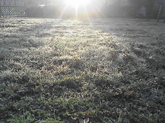c0069380_10592899.jpg