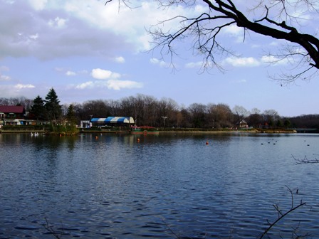 c0078480_0222416.jpg