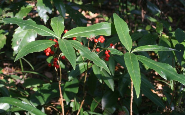 c0144185_20334919.jpg