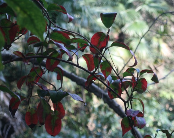 c0144185_20443464.jpg