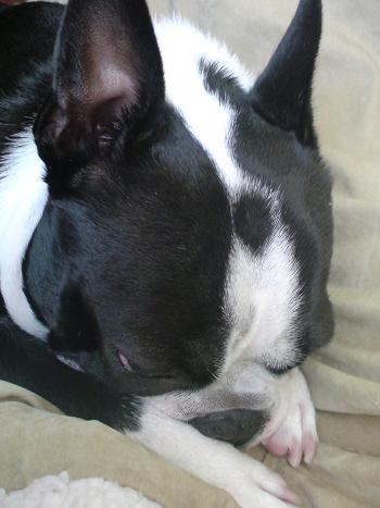 e0140086_20111737.jpg