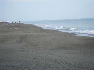 e0052088_1344795.jpg