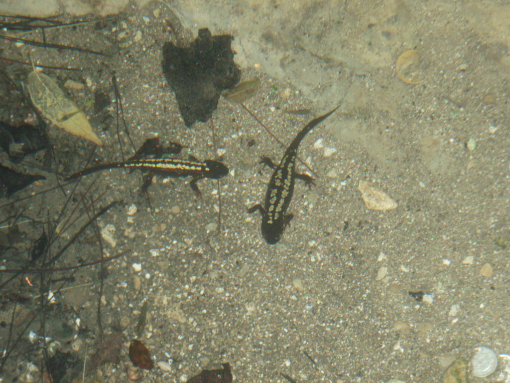 d0034291_21504112.jpg
