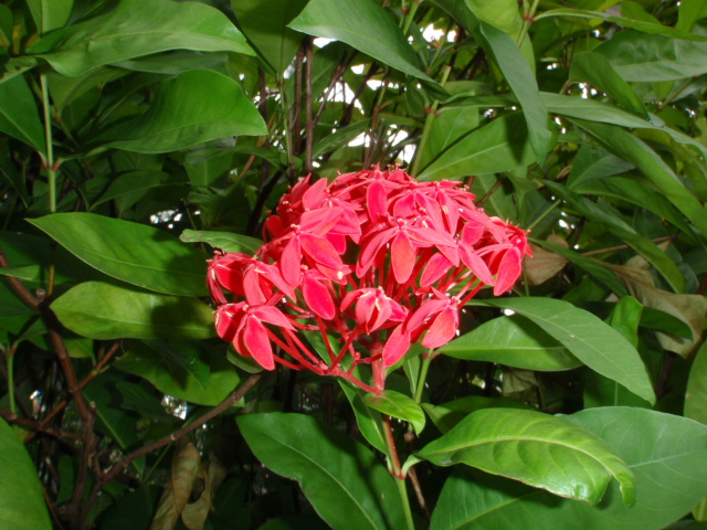 d0034291_223369.jpg