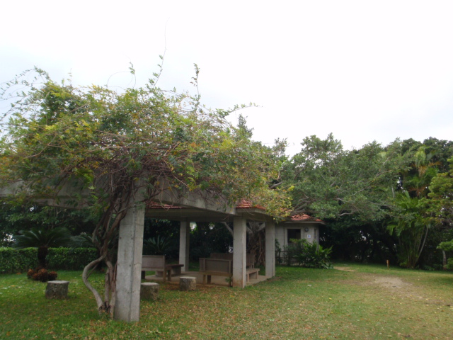d0034291_223898.jpg