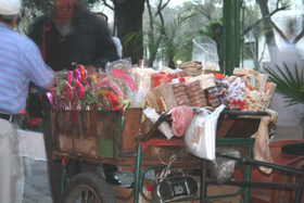 c0033994_348075.jpg