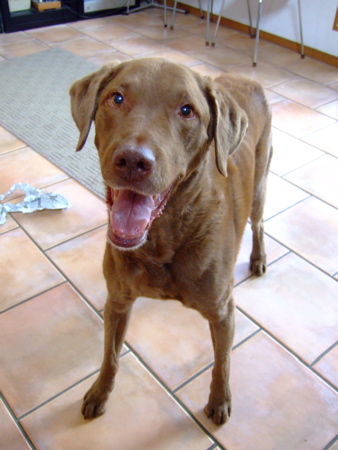f0001698_21412384.jpg