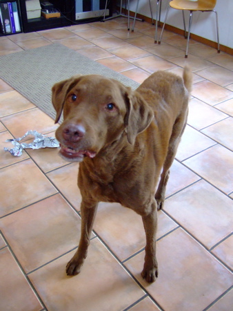 f0001698_21473442.jpg