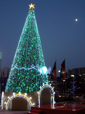 a0047200_9213568.jpg