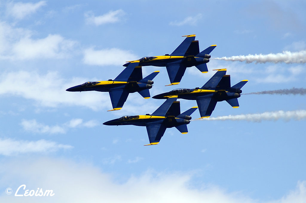 c0080101_913679.jpg