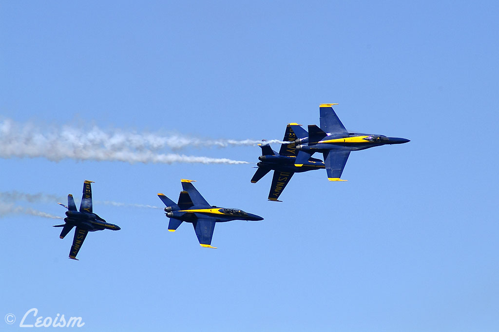 c0080101_915912.jpg