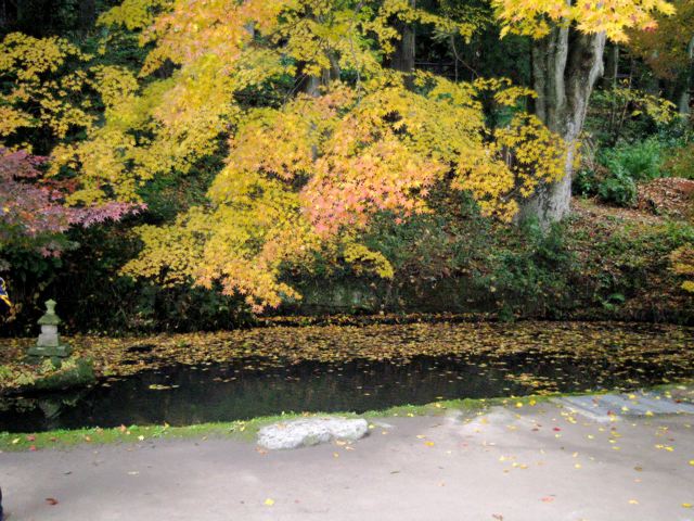 b0069502_20194183.jpg
