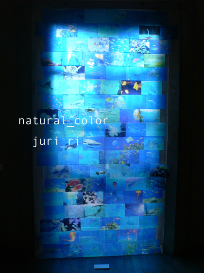 c0063808_2594071.jpg