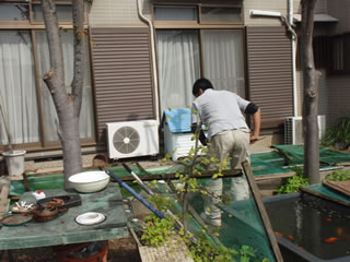 c0162817_20455279.jpg