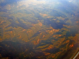 e0002820_230372.jpg
