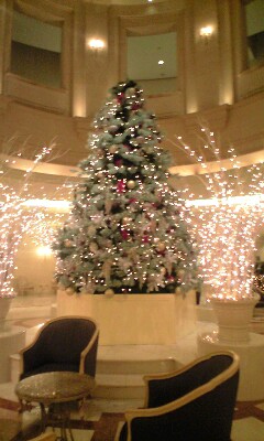 e0041122_1618842.jpg